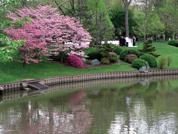romantic garden_2